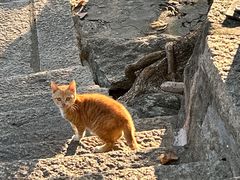 -鸿山公园
