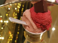 覆盆子冰淇淋-VENCHI 闻绮(北京国贸商城店)