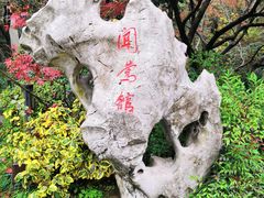 -闻莺馆(柳浪闻莺店)