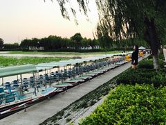-白洋淀景区