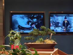 -老傅家湘潭水煮活鱼店(众一国际店)