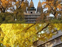 -北京石刻艺术博物馆(五塔寺)