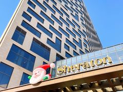 -上海嘉定喜来登酒店