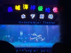 -泉城欧乐堡海洋极地世界