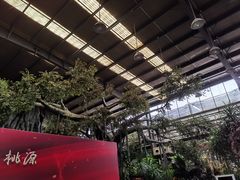 -世外桃源农庄·德清土菜(兴康南路店)