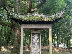 -兰亭风景区