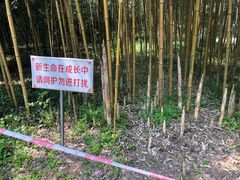 景点-采石矶景区