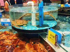 -百佳华佳漾里(坂田店)