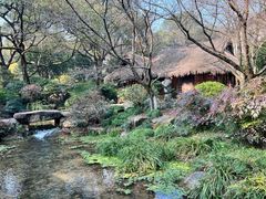 -中国茶叶博物馆(双峰馆区)