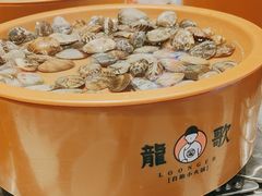 -龍歌自助小火锅(市北台东利群店)