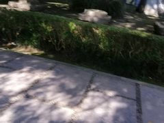 -南通博物苑-崇川人民公园