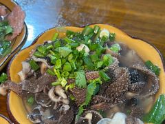 -小杨翘脚牛肉
