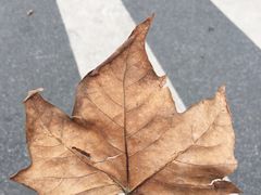 -兔行天下-鸿鹤鲜锅兔(中海国际店)