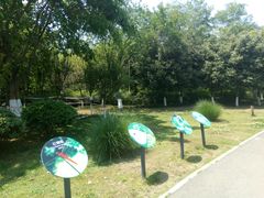 -白鹭湾湿地公园