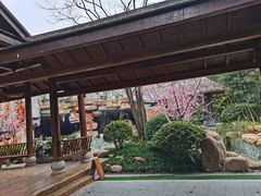 -万象温泉景区