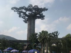 -苏州乐园森林水世界