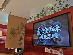 -老板恋上鱼(恒隆广场店)