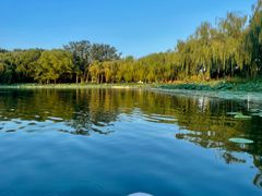 -WhaleSports户外水上运动俱乐部(朝阳公园店)