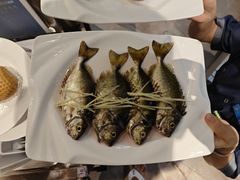 -青蓬蒸汽海鲜·深圳老字号·团建聚会(壹方城店)