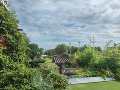 -慢丽江·云南野生菌土鸡锅(付家庄店)