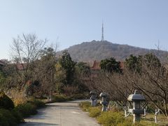 -开福禅寺