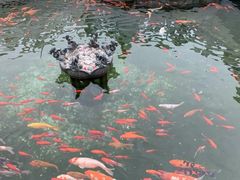 -祥源·阜阳生态乐园