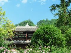 -光雾山旅游景区
