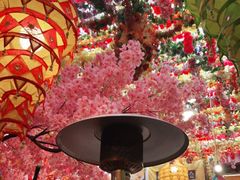 -吉祥圣雪藏餐