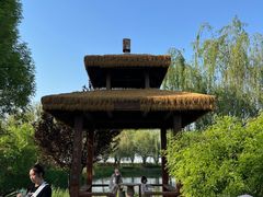 -白洋淀景区