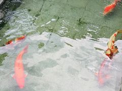 -西安市广仁寺