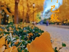-玲珑塔公园
