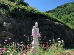 -天女山森林公园
