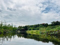 -同里国家湿地公园