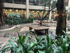 -白虎自助餐厅·真老虎·景观自助餐厅(广州长隆酒店)