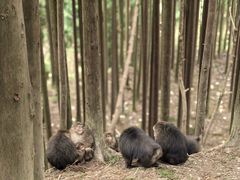 -太阳湾风景区