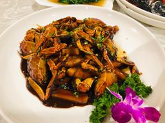 -桦立酒家(宜山路店)