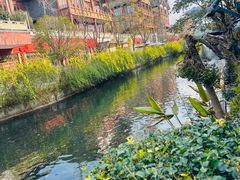 -眉山湿地公园(东坡区)