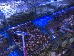 -渔民船说·北塘海鲜·天津菜·海肠捞饭(北塘古镇店)