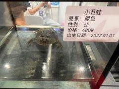 -成都世纪城新国际会展中心