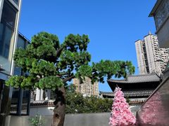 -大益茶庭(永庆坊店)