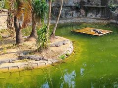 -深圳野生动物园