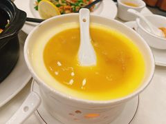 鸡煲花胶-五谷芳乳鸽王(梅沙老店)