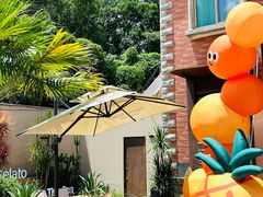 -苏小糖(鼓浪屿三丘田花园店)