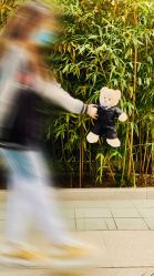 -颐和宾馆宴会厅