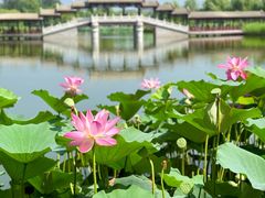 -西海子公园