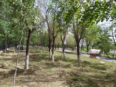 -绿堤公园