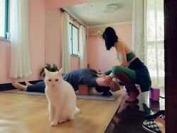 -齐伽生活馆·瑜伽·普拉提·阿育吠陀