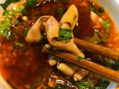 -红鼎坊·老成都火锅(新南门店)