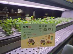 -蔡澜PHO(海岸城店)
