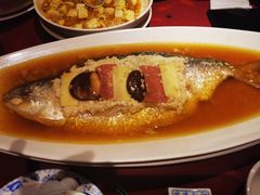 酒香鲥鱼-老吉士酒家(天平路店)